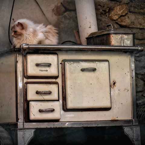 huisgeesten woonplaats