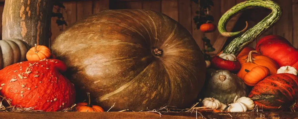 Pompoenen. Jaarfeest Samhain vieren