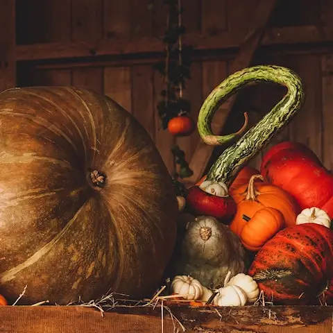 pompoenen. Wat is de betekenis van Samhain