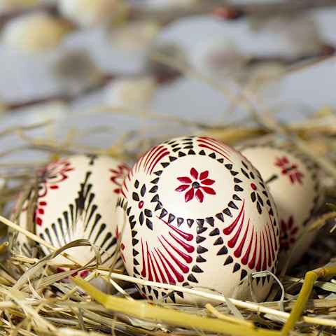 Ostara vieren lentefeest hekserij